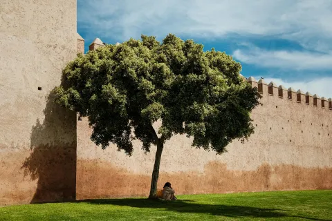 test-img